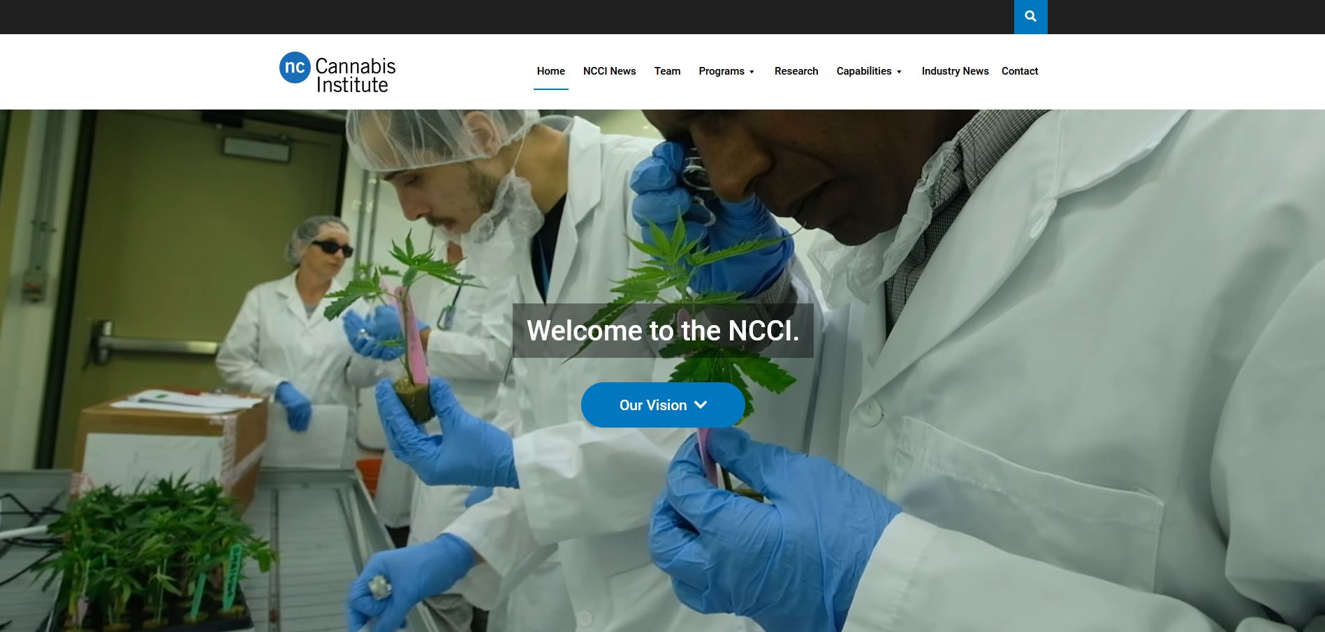 Niagara College Cannabis Institute Launches Website Encore Niagara