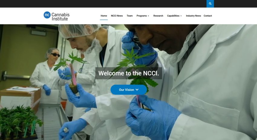 Screenshot of the NCCI website