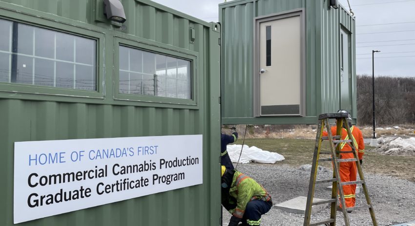 New cannabis bunker being installed