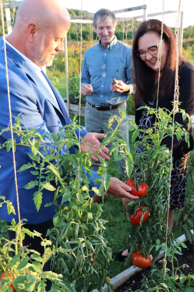 college and charity representatives visit a community vegetable garden 